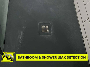 Shower and Bathroom Leaks